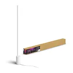 Philips 915005987101 Hue Gradient Signe Vloerlamp White and Color Wit